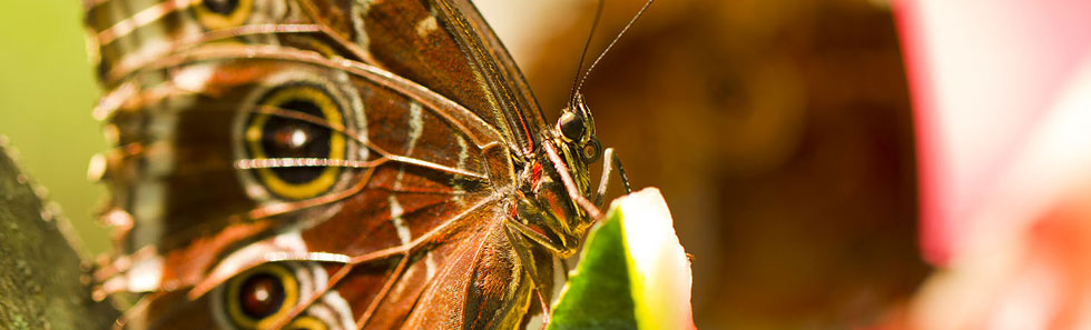 ip攻击器网页版