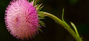 界面友好直观的DDOS压力测试网页端